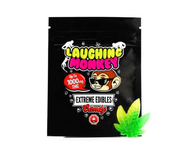 Laughing Monkey Extreme