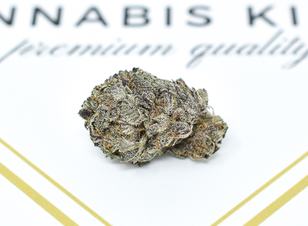 Grand Daddy Purple 1