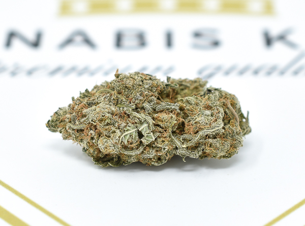 Girl Scout Cookies 1