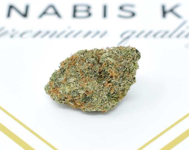 Slurricane 1 compressed